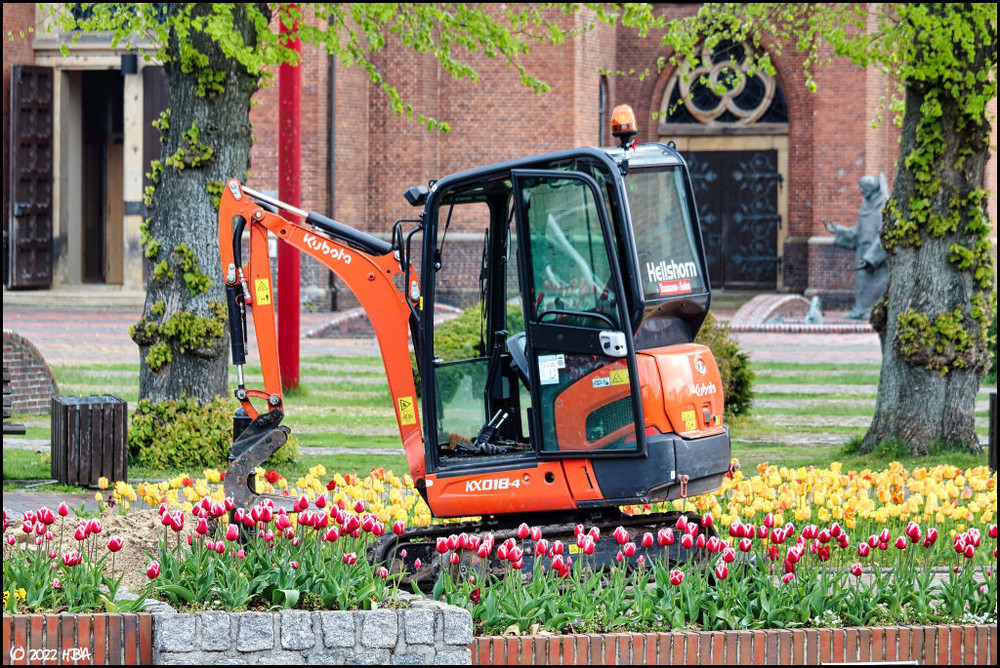 Kubota_KX018-4_Heilshorn.thumb.jpg.14056a3bc8f96bb5f9503cc293bb719a.jpg