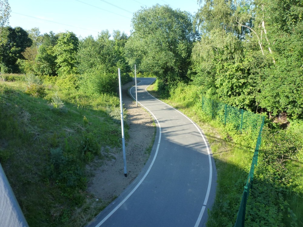 P1030190.thumb.JPG.50bde6aa339a44b3c2675d6a9523168c.JPG