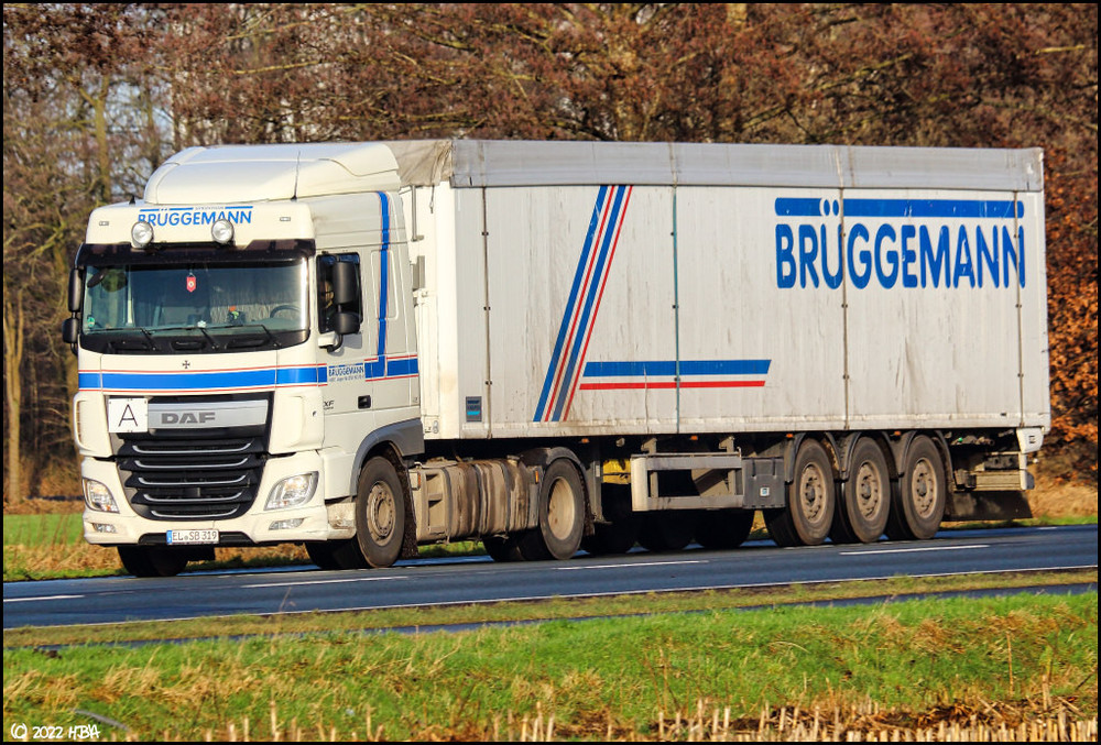 1552905017_DAF_XF_E6_Brggemann2.thumb.jpg.ad962e8c4f5bbe71b2c87ed1f66b3efd.jpg