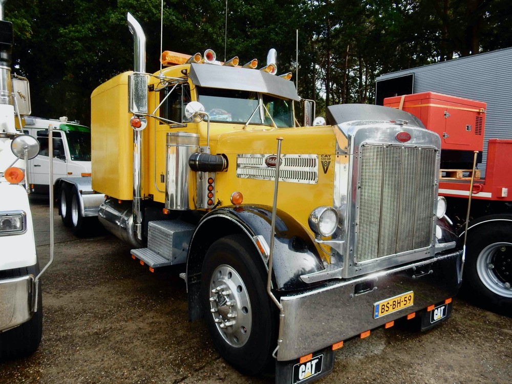 591315018_MDPeterbilt02102022001.thumb.jpg.5f5ec823cafbe16c56699cc65f825dd0.jpg