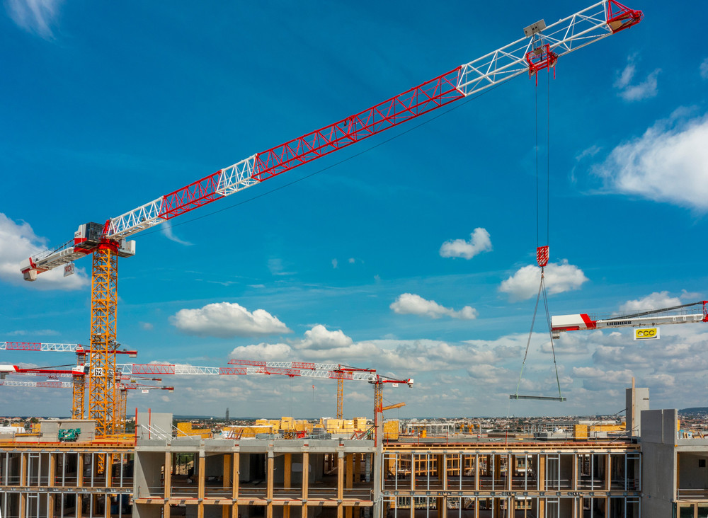 liebherr-flat-top-cranes-ec-b-arboretum-france-2022-03-300dpi.jpg