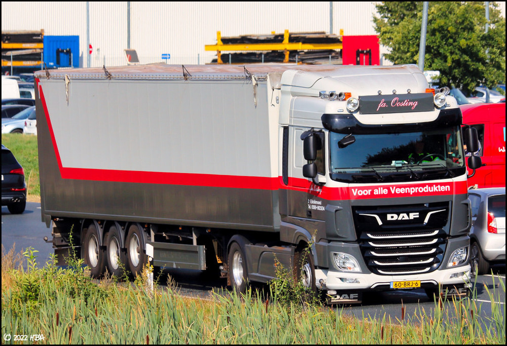 DAF_XF_Oosting_NL.thumb.jpg.e3af25b545cdc31a6e37736cb2dfec19.jpg