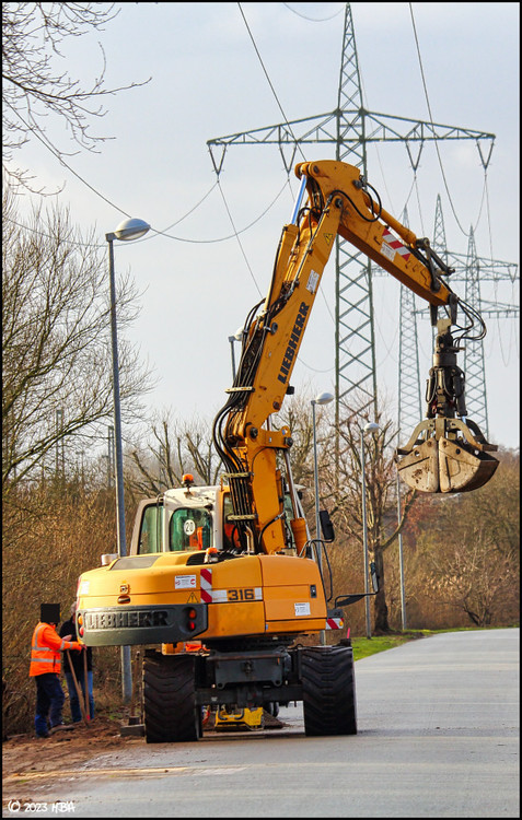 Liebherr_A316_NH.thumb.jpg.3d39945e8fcdcd4de331baa71cc09c24.jpg