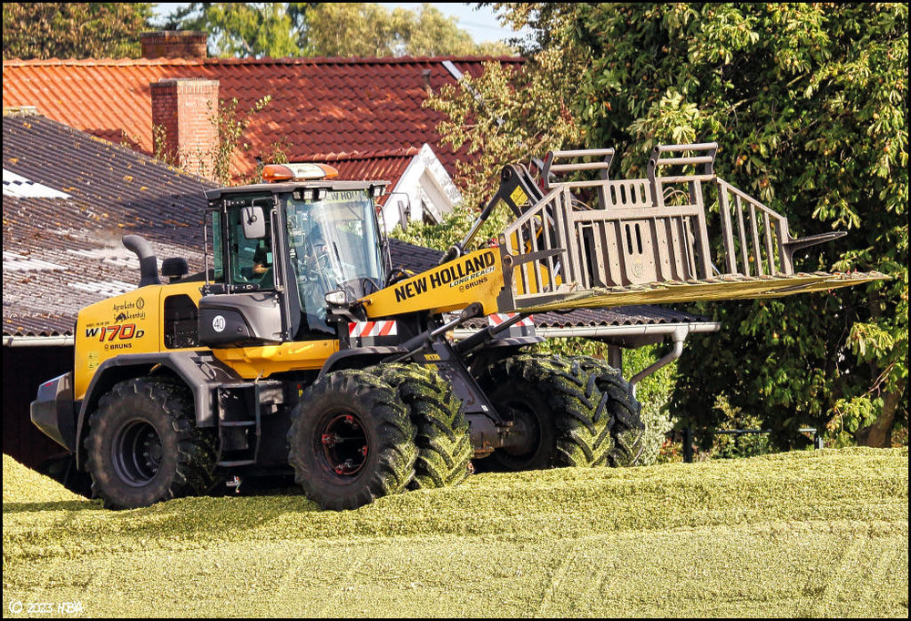 New_Holland_W170D_Silo.thumb.jpg.8c03b3366acb810db4b4cc5661dc906f.jpg