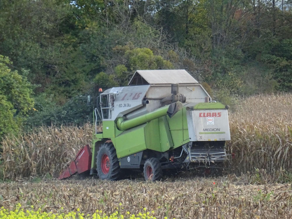 claas.jpg