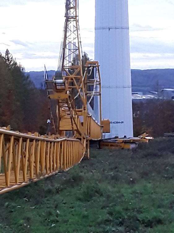 20231108_164638.jpg