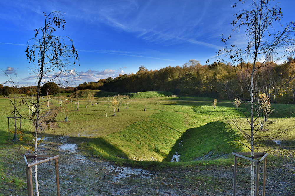 DSC_0065.JPG