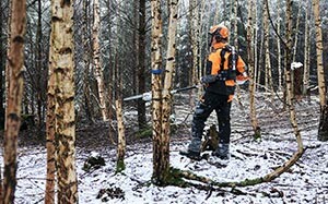 Mehr Informationen zu "STIHL auf der FORST live"