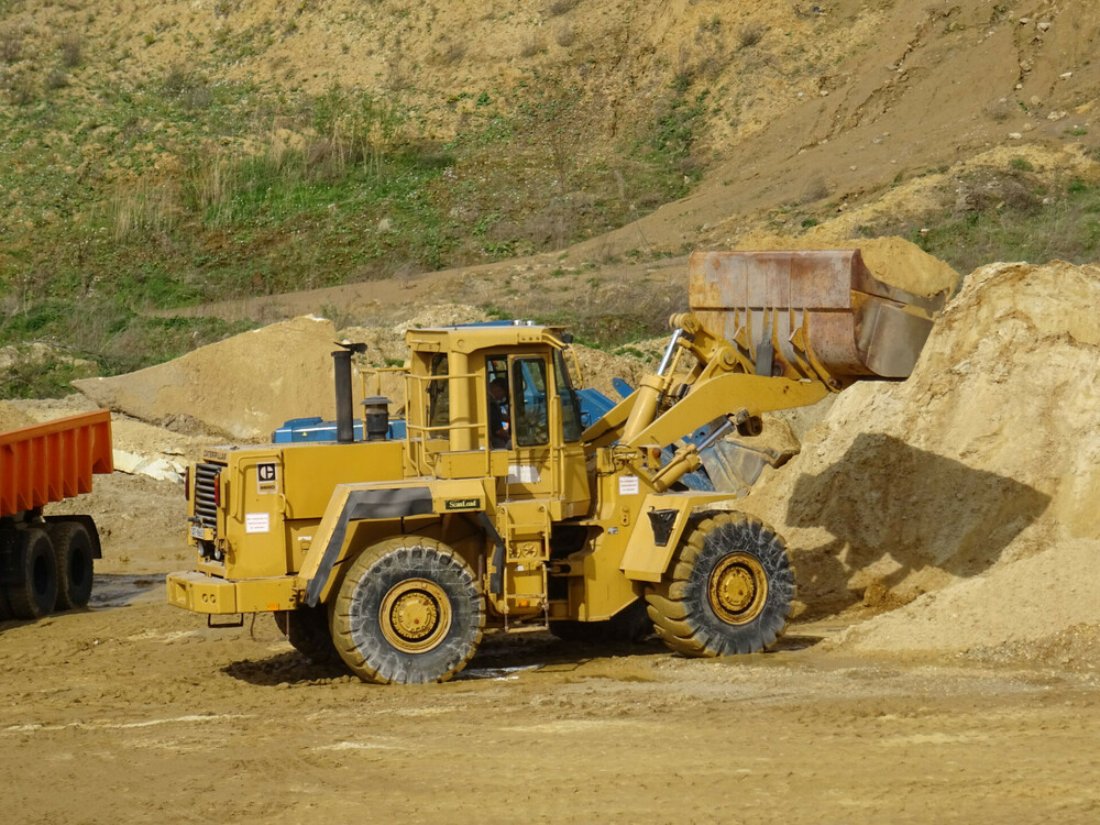 cat 966.jpg