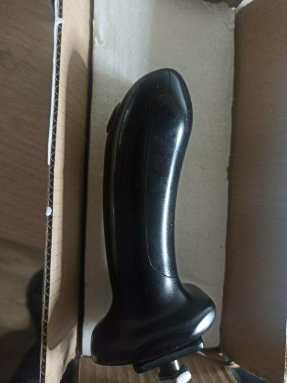 PelJob EB 306 - Joy (1).jpg