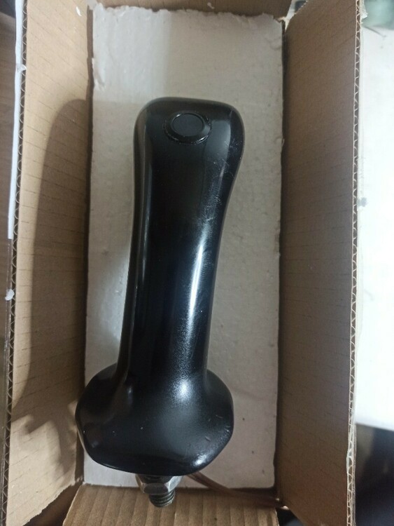 PelJob EB 306 - Joy (2).jpg