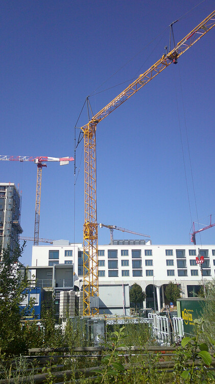 DSCF0148.JPG