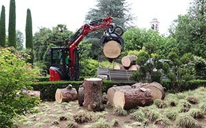 Mehr Informationen zu "Yanmar ViO33-6 Minibagger"