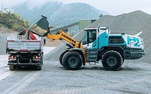 Mehr Informationen zu "Liebherr Prototyp L 566 H"