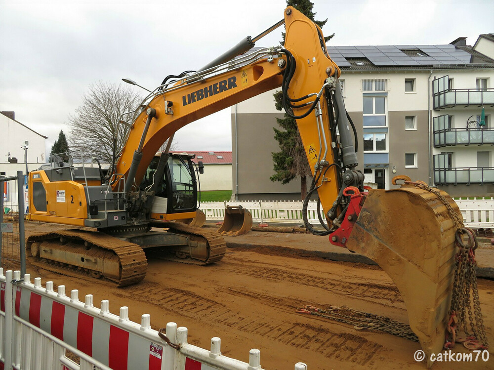 Blandfort61.thumb.jpg.2a0c9b14b0937a23b99adebad33c8a8c.jpg