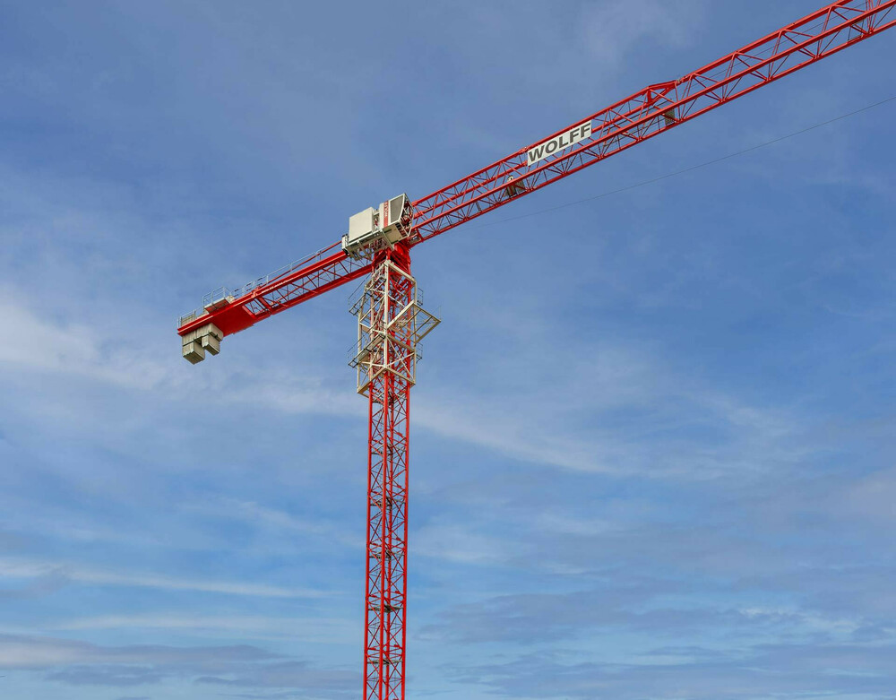 WOLFF 8038 Clear_2.jpg