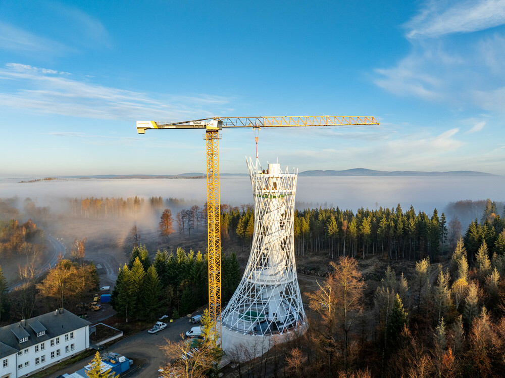 liebherr-hexenbesen-04_300dpi.jpg.jpg