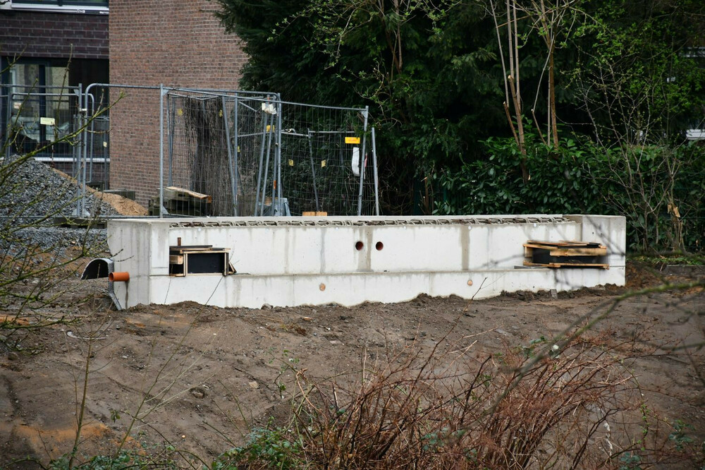 DSC_9556.thumb.JPG.c10ca8b6b4cdaf44c857b11db35bdad9.JPG