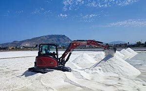 Mehr Informationen zu "Yanmar Mini-Bagger"