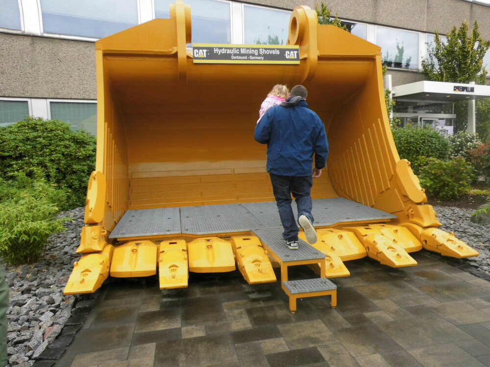 TL CAT xxL.JPG