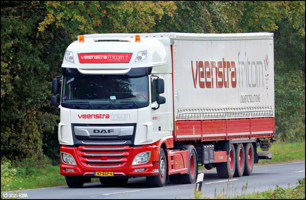 DAF_XF_Veenstra-Fritom_Niederlande.thumb.jpg.714074f780f1cd9d2dd97e76a022c1e1.jpg