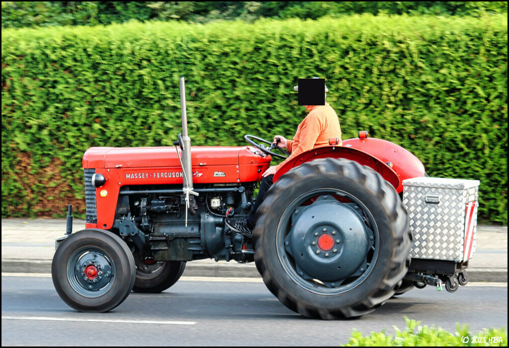 Massey_Ferguson_MF65.thumb.jpg.c1a3c5573ec27da2b83b9de6604b9560.jpg