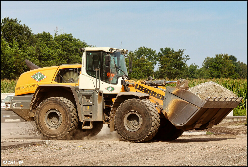 Liebherr_L566_HJA.thumb.jpg.d34fde3525680c5d2c3832f5d984deee.jpg