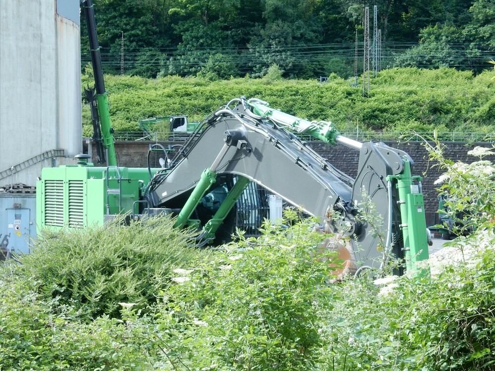 Seggewi24052025001.thumb.jpg.71766aa4f155f18ea7657ba1c1503809.jpg
