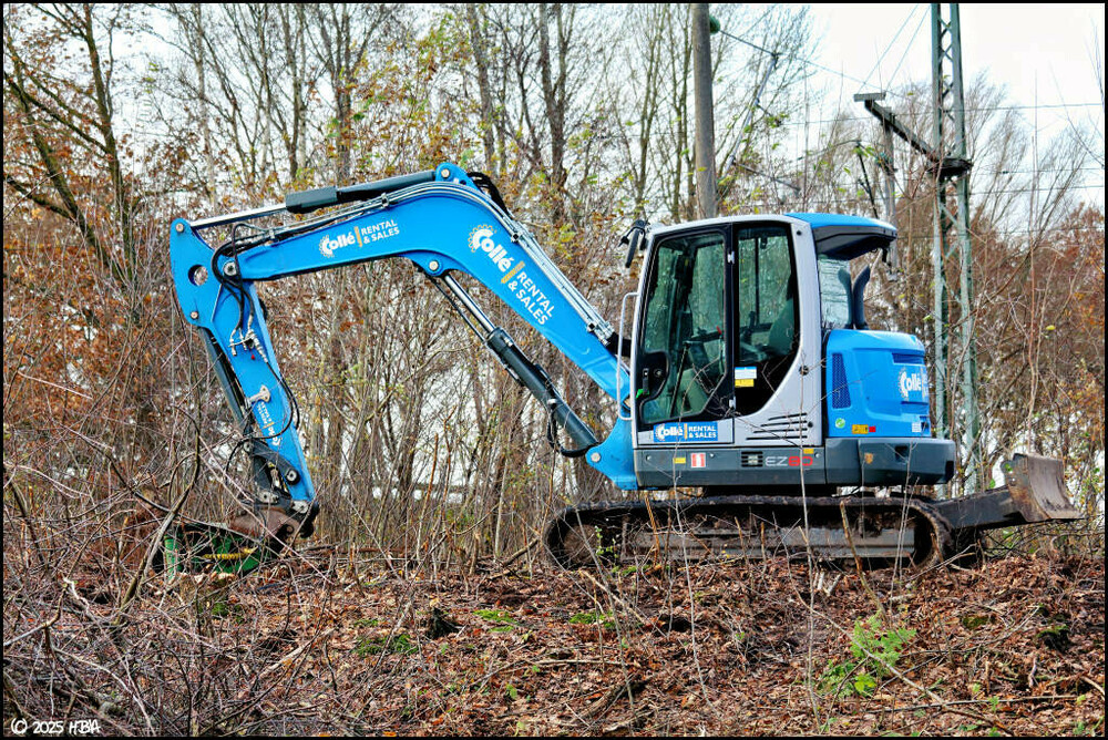 Wacker_Neuson_EZ80_Colle-Rental.thumb.jpg.ebe1b5df8e37eb12397bd740162932f9.jpg