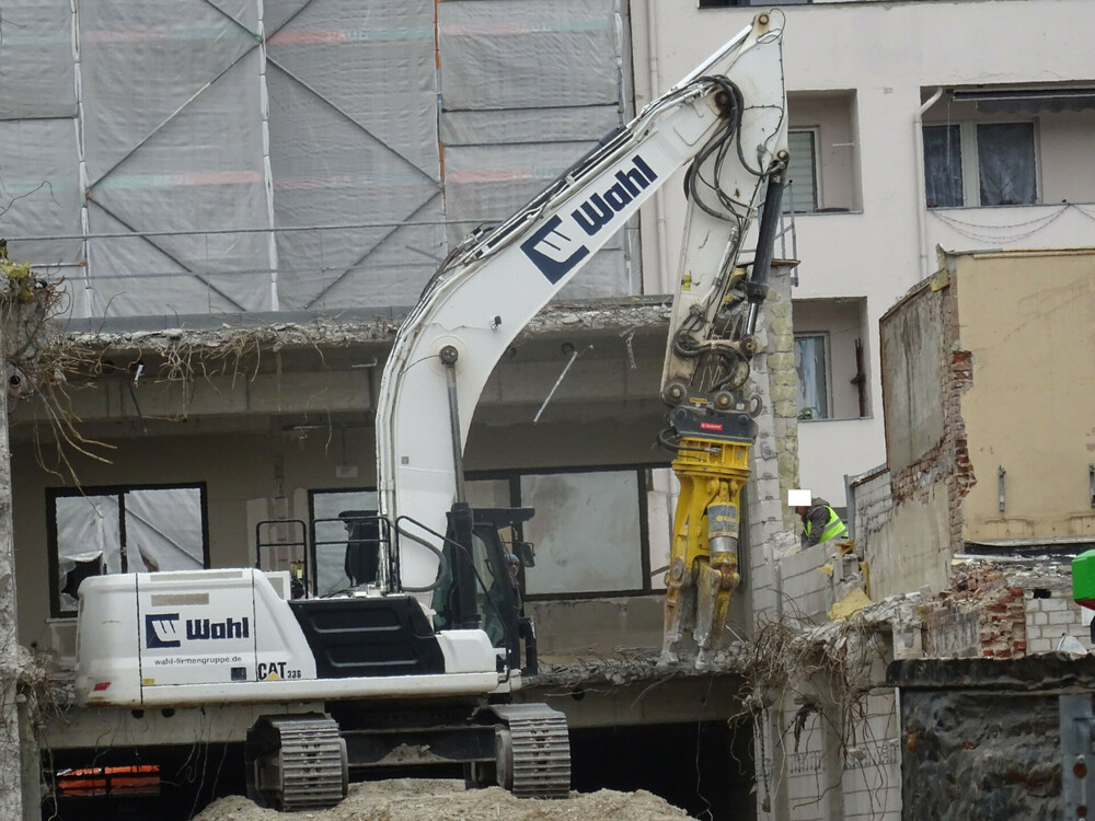 cat 336.jpg