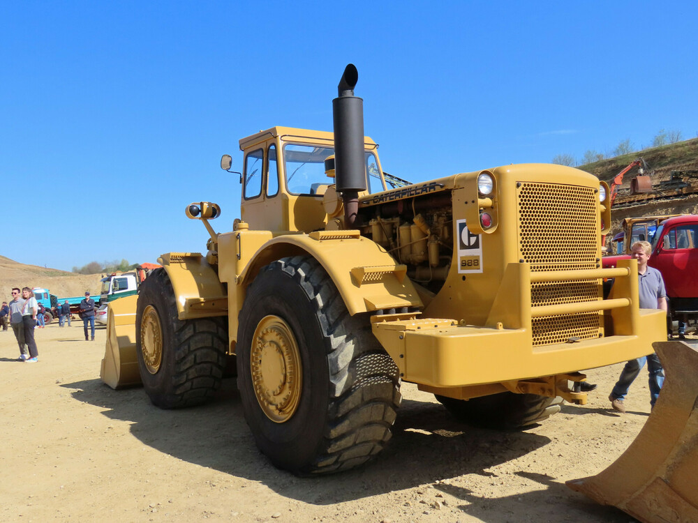 cat 988.jpg