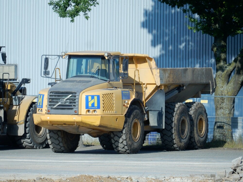 Heermann22062025005.thumb.jpg.d96e4d186c7e4f9acbf9031396dfd089.jpg