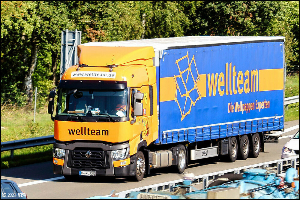 Renault_T_Wellteam_A31.thumb.jpg.2e3c4651a61914db6f0e373e044b98b4.jpg