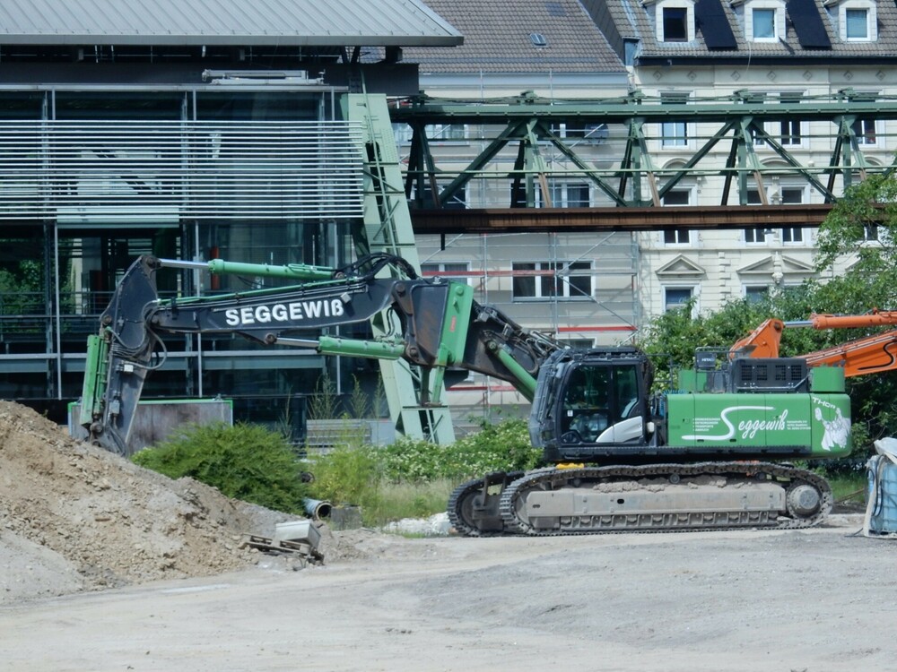 Seggewi24062025001.thumb.jpg.024aa980c2703c1e7973be866a17e063.jpg