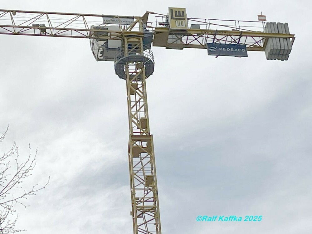 Wolff 4517.JPG