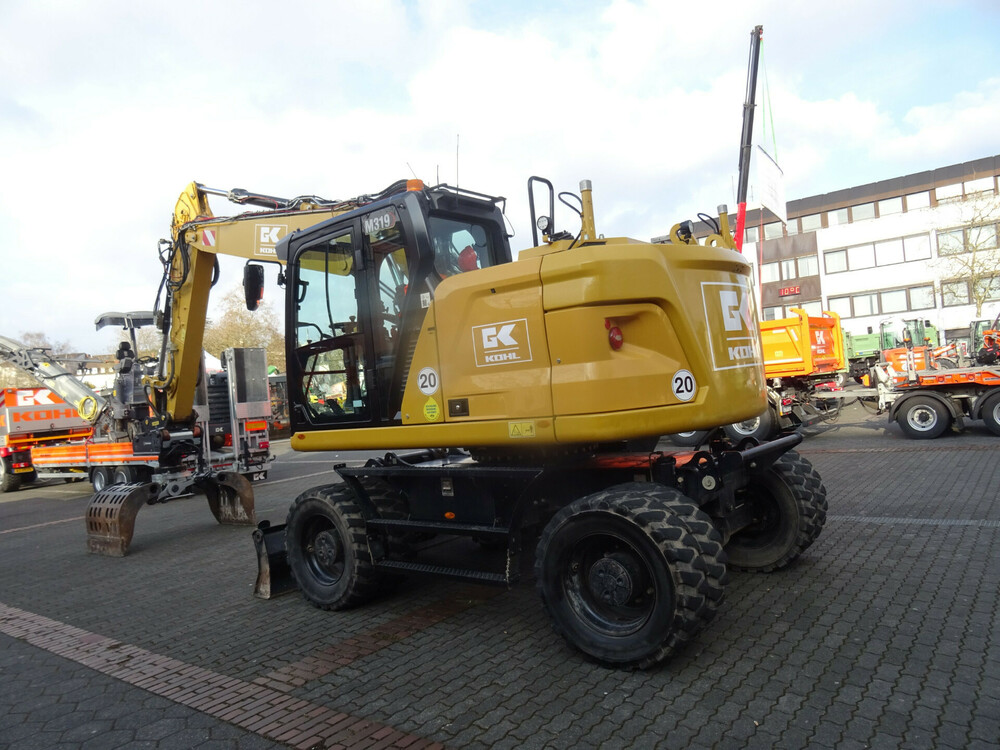 m 319 cat.jpg