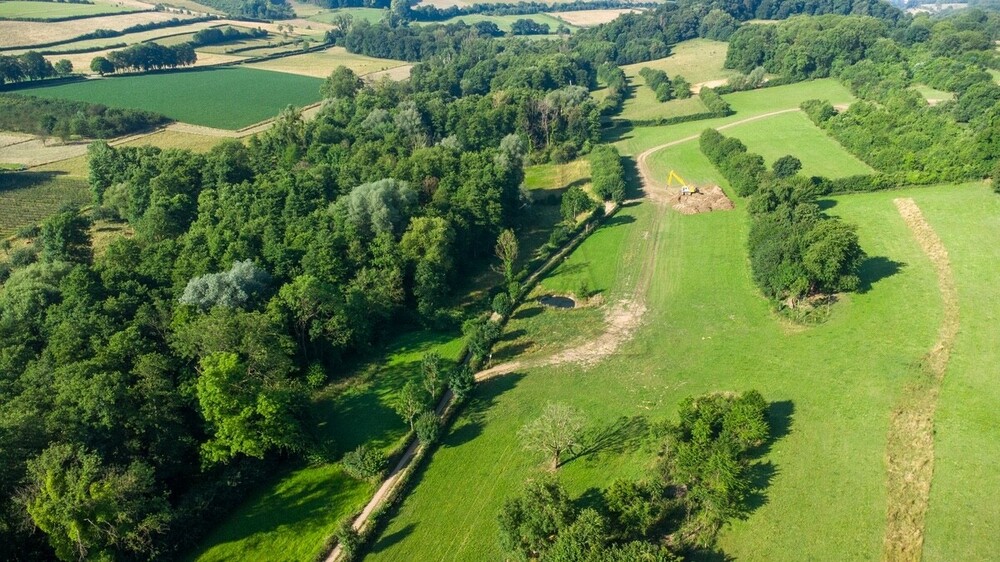 DJI_0303.jpg