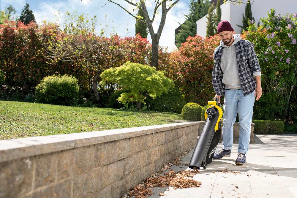 BLV_36_240_vacuuming_app_01.jpg