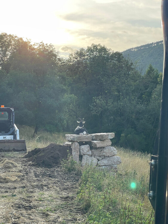 04 Bobcat im Einsatz bei VOX.jpg