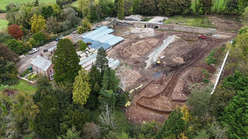 2 TimberTek_Yanmar.jpg