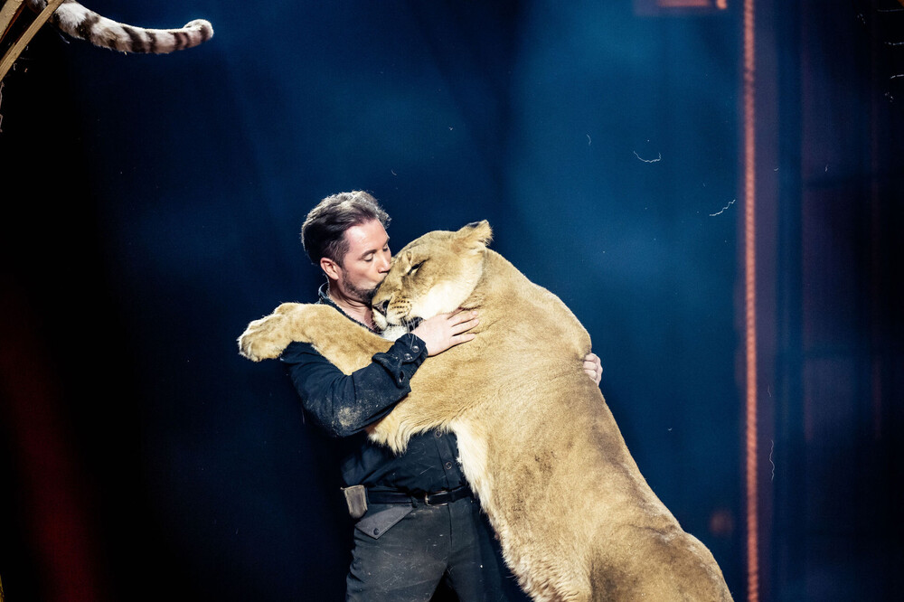 Quelle_Krone_Martin Lacey-Krone_Löwe_2.jpg