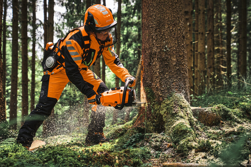 STIHL_MS_300_C-M_Anwendung.jpg