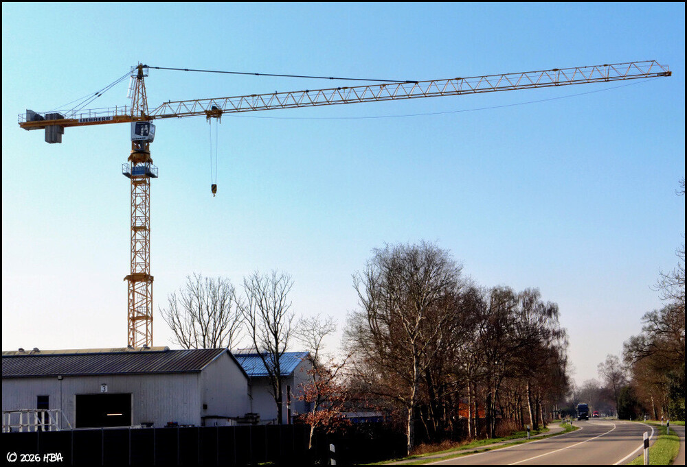Liebherr_132_EC-H_8.thumb.jpg.0b20e1eff5aad8eb647e72aa4f195ace.jpg