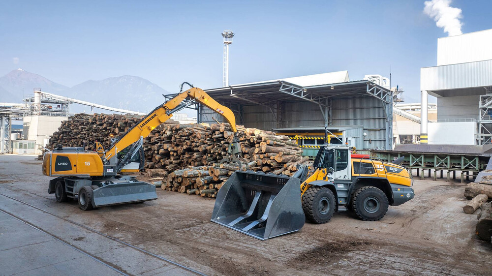 liebherr-holzeinsatz-fantoni_300dpi.jpg