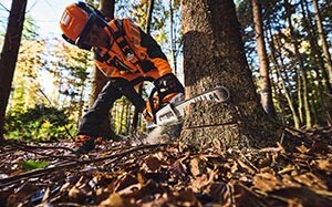 Mehr Informationen zu "Akku-Motorsäge STIHL MSA 260 C-O"