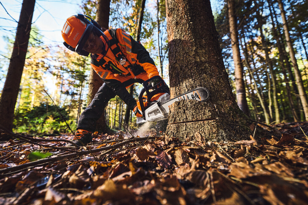 STIHL_MSA_260_Anwendung_EU-RoW_149807.jpg
