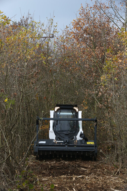 T770-Forestry-Cutter-161116_0018.JPG