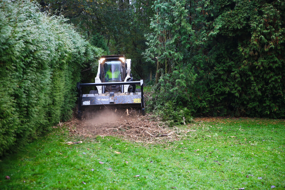 T770-Forestry-Cutter-161116_0027.JPG